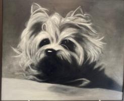 'Fluff' - winner of the best painting award.